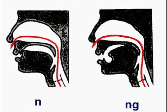 前鼻音和后鼻音的区分技巧