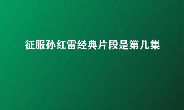 征服孙红雷经典片段是第几集