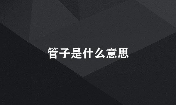 管子是什么意思