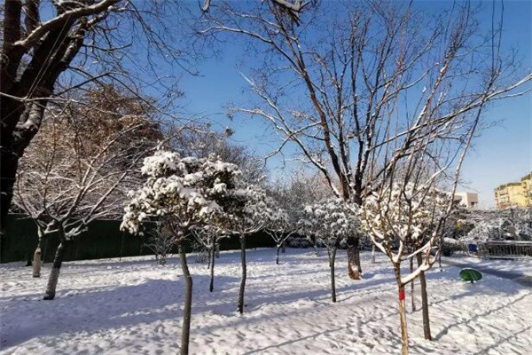 形容瑞雪兆丰年的优美句子