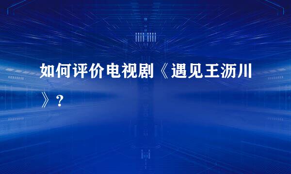 如何评价电视剧《遇见王沥川》？