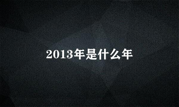 2013年是什么年