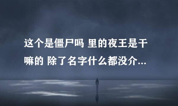 这个是僵尸吗 里的夜王是干嘛的 除了名字什么都没介绍啊 这货到底是什么东西