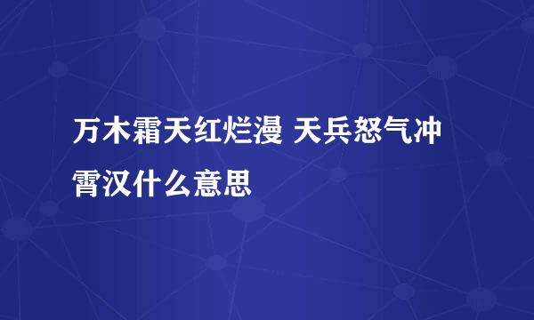 万木霜天红烂漫 天兵怒气冲霄汉什么意思