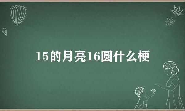 15的月亮16圆什么梗