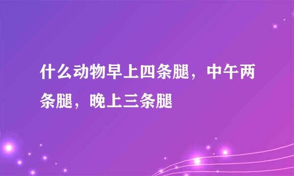 什么动物早上四条腿，中午两条腿，晚上三条腿