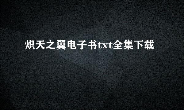 炽天之翼电子书txt全集下载