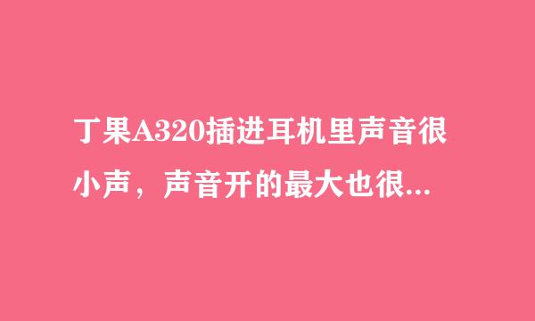 丁果A320插进耳机里声音很小声，声音开的最大也很小声，而且也很杂，用喇叭放就很