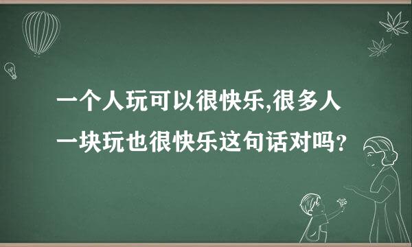 一个人玩可以很快乐,很多人一块玩也很快乐这句话对吗？