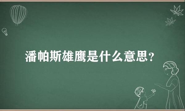 潘帕斯雄鹰是什么意思？