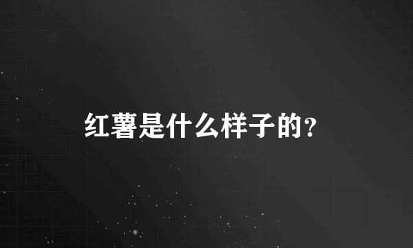 红薯是什么样子的？