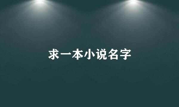 求一本小说名字