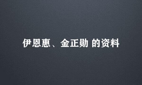 伊恩惠、金正勋 的资料