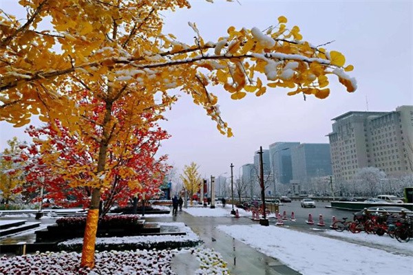 形容瑞雪兆丰年的优美句子