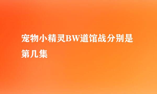 宠物小精灵BW道馆战分别是第几集