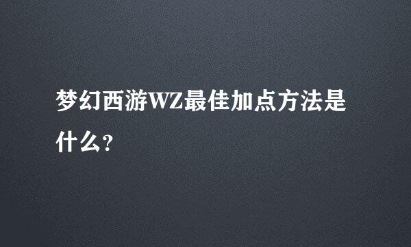 梦幻西游WZ最佳加点方法是什么？