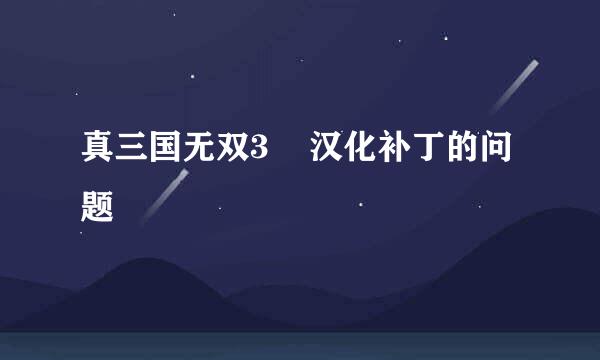 真三国无双3    汉化补丁的问题