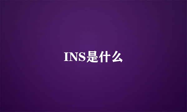 INS是什么