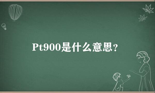 Pt900是什么意思？