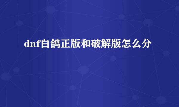 dnf白鸽正版和破解版怎么分