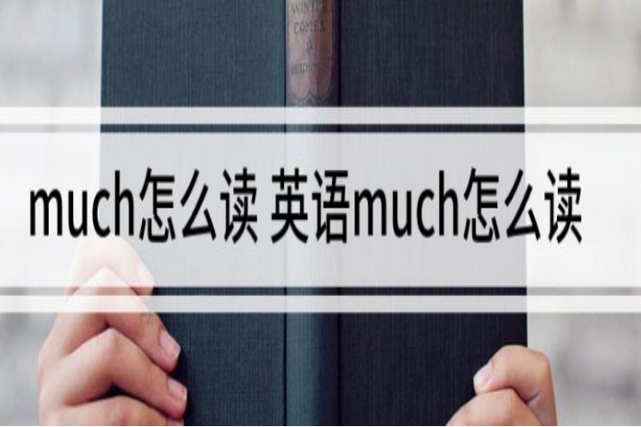 very much怎么读