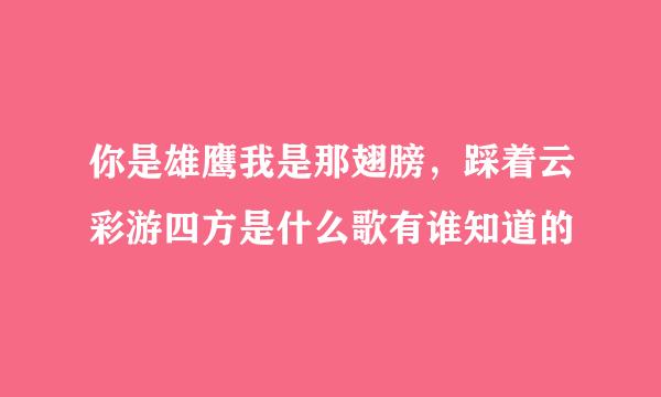 你是雄鹰我是那翅膀，踩着云彩游四方是什么歌有谁知道的