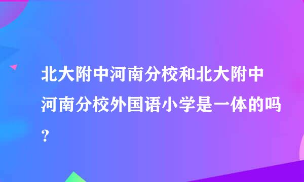 北大附中河南分校和北大附中河南分校外国语小学是一体的吗？