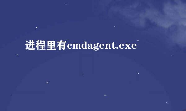 进程里有cmdagent.exe