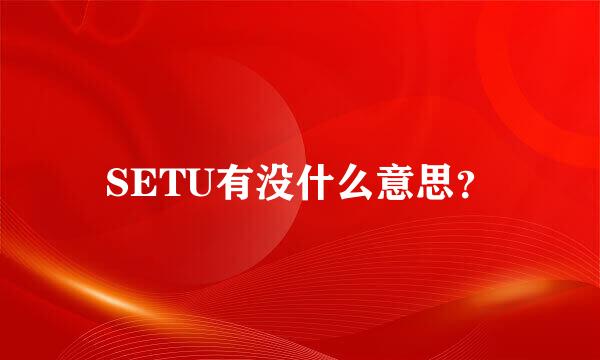 SETU有没什么意思？