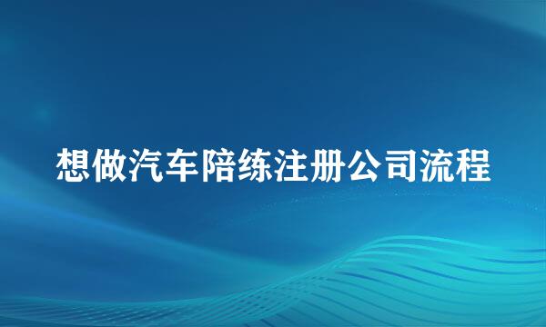 想做汽车陪练注册公司流程