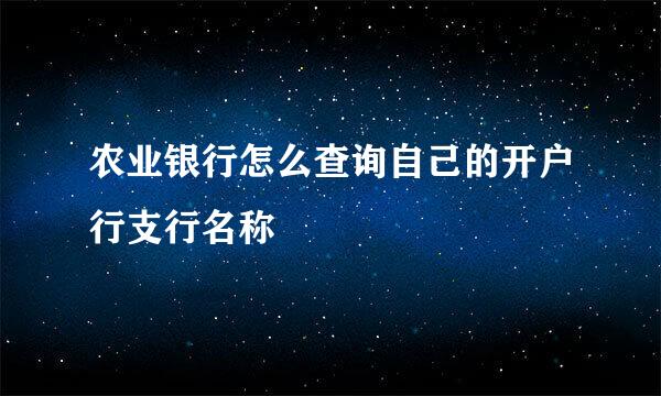 农业银行怎么查询自己的开户行支行名称