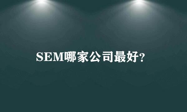 SEM哪家公司最好？