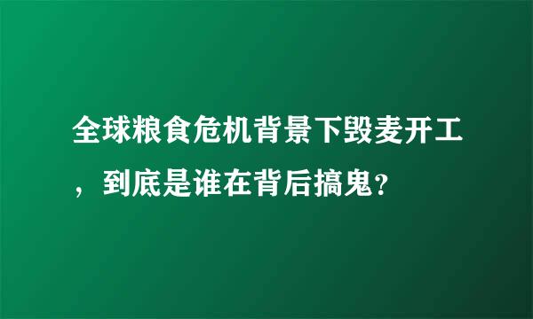 全球粮食危机背景下毁麦开工，到底是谁在背后搞鬼？