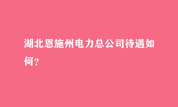 湖北恩施州电力总公司待遇如何？