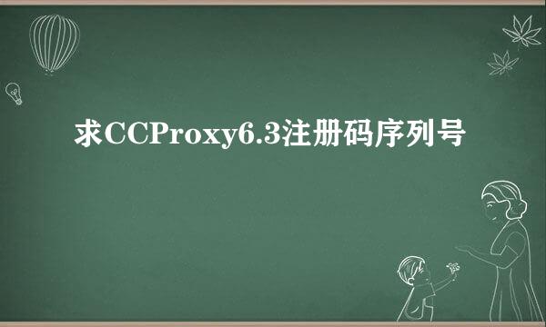 求CCProxy6.3注册码序列号