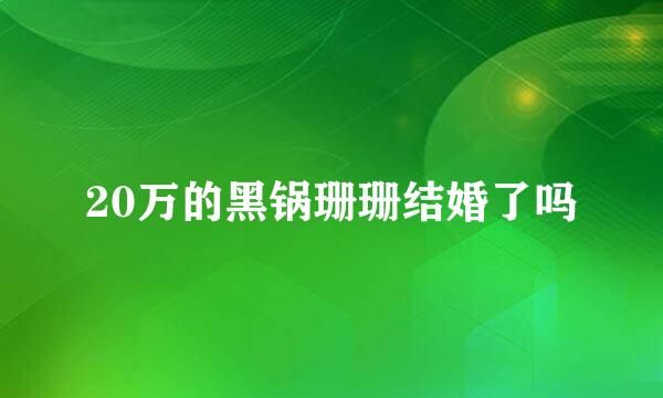 20万的黑锅珊珊结婚了吗