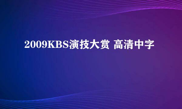 2009KBS演技大赏 高清中字