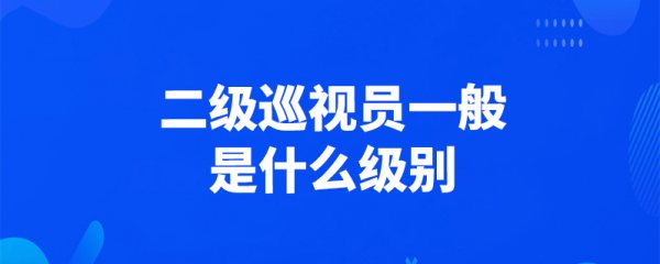 二级巡视员是什么级别