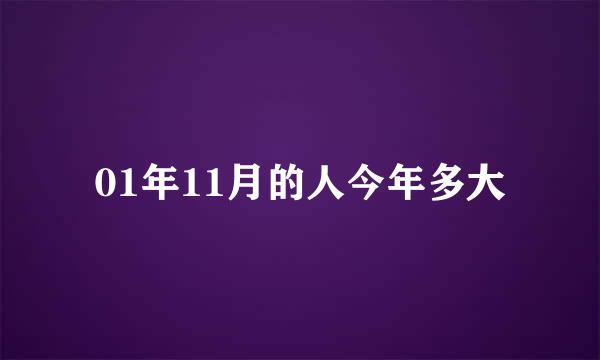 01年11月的人今年多大