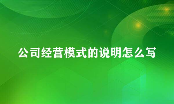 公司经营模式的说明怎么写