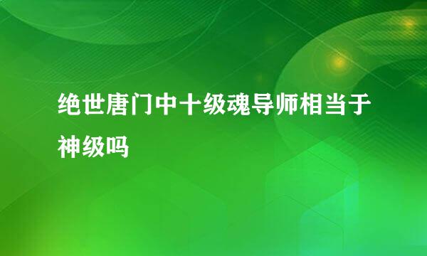 绝世唐门中十级魂导师相当于神级吗