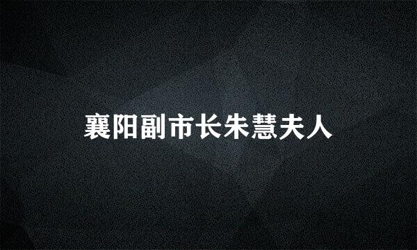 襄阳副市长朱慧夫人