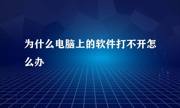 为什么电脑上的软件打不开怎么办