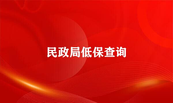 民政局低保查询