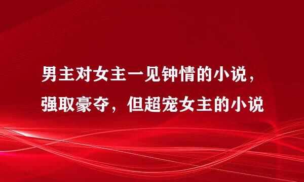 男主对女主一见钟情的小说，强取豪夺，但超宠女主的小说