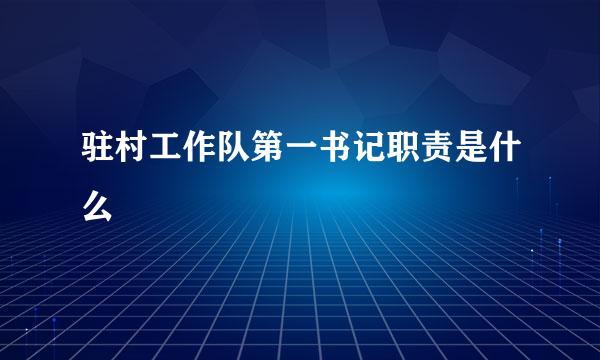 驻村工作队第一书记职责是什么