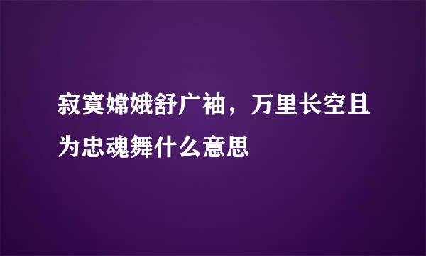 寂寞嫦娥舒广袖，万里长空且为忠魂舞什么意思