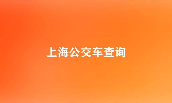 上海公交车查询