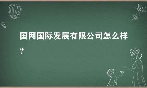 国网国际发展有限公司怎么样？