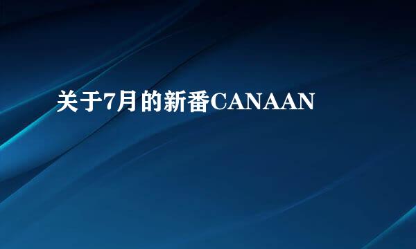 关于7月的新番CANAAN